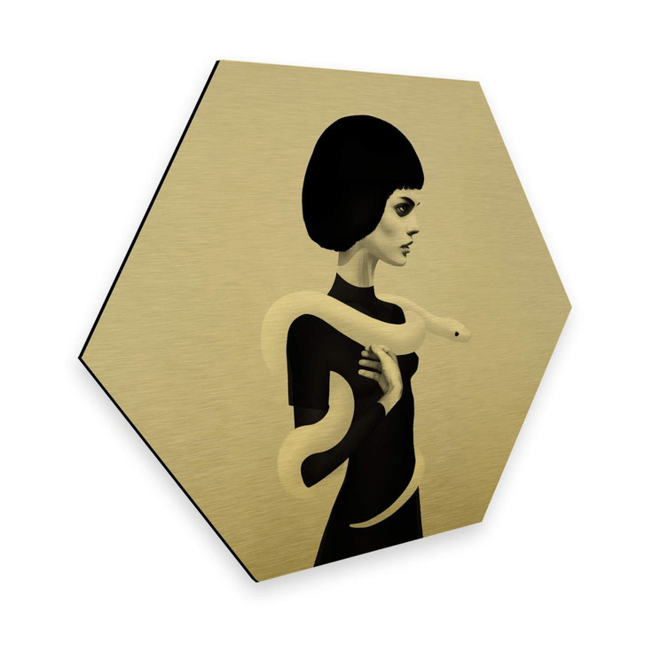 Hexagon - Alu-Dibond-Goldeffekt Ireland - Only Skin - WA295460