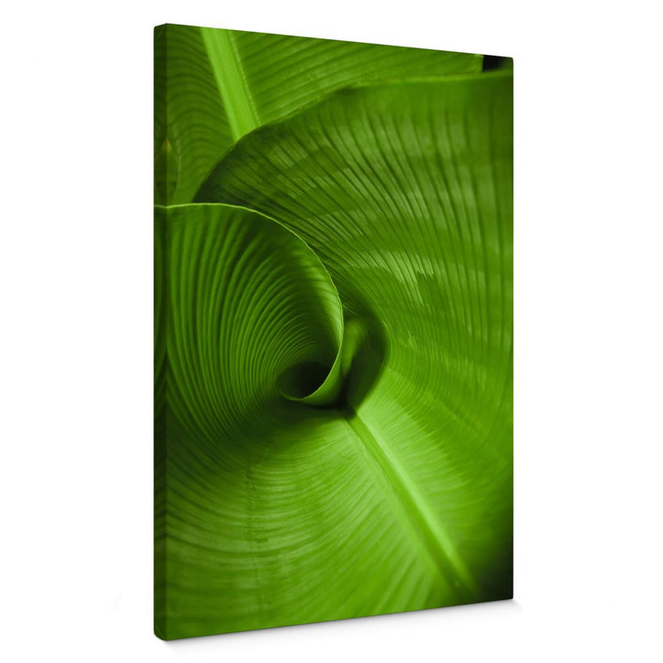 Leinwandbild Bananenblatt - WA357913