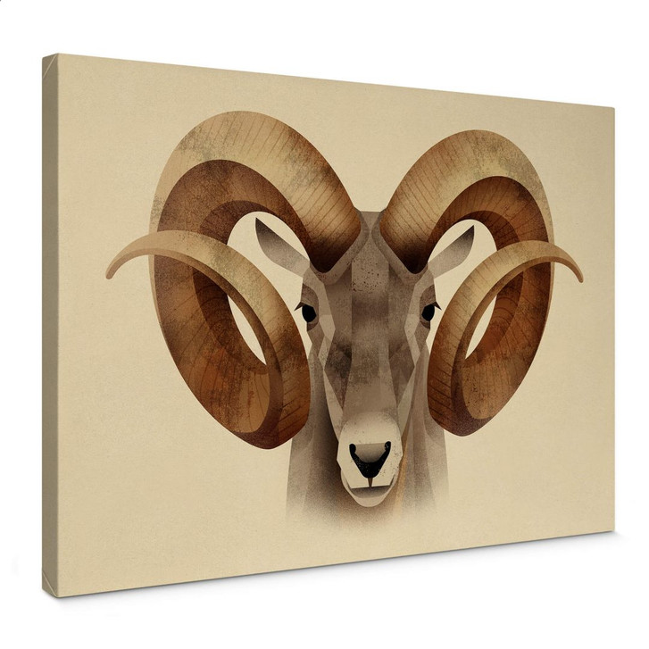 Leinwandbild Braun - Urial - WA359657