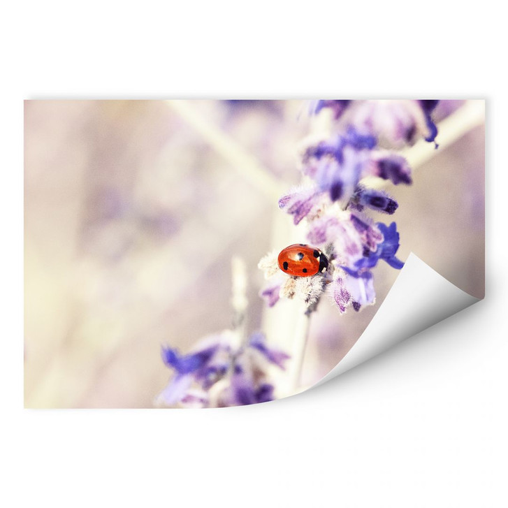 Wallprint Little Friend - WA185900