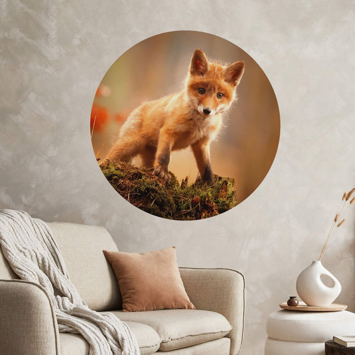 Wandtattoo Adamec - Junger Fuchs im Wald - Rund - WA383493