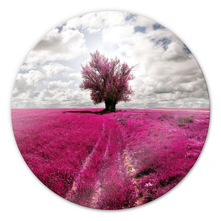 Glasbild The Lonely Tree - rund - WA128239