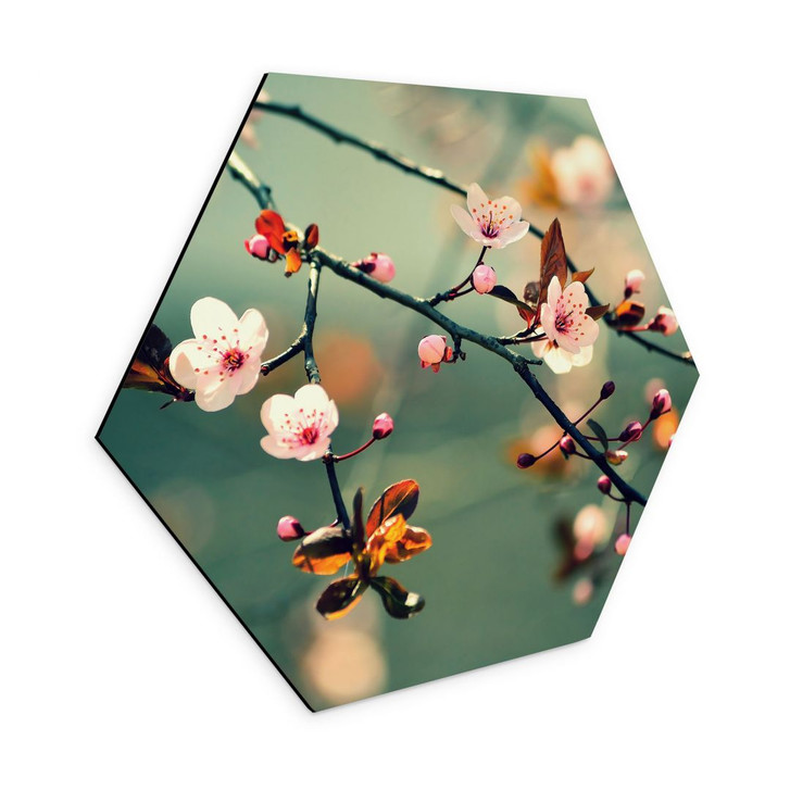 Hexagon Wandbild Frühlingserwachen - Alu-Dibond - WA458662