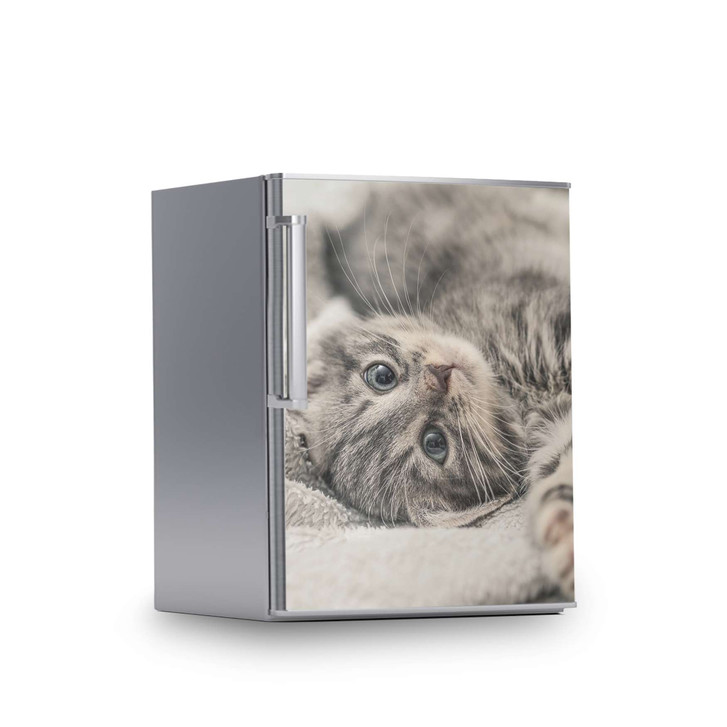 Kühlschrankfolie 60x80cm - Kitty the Cat - CR113250