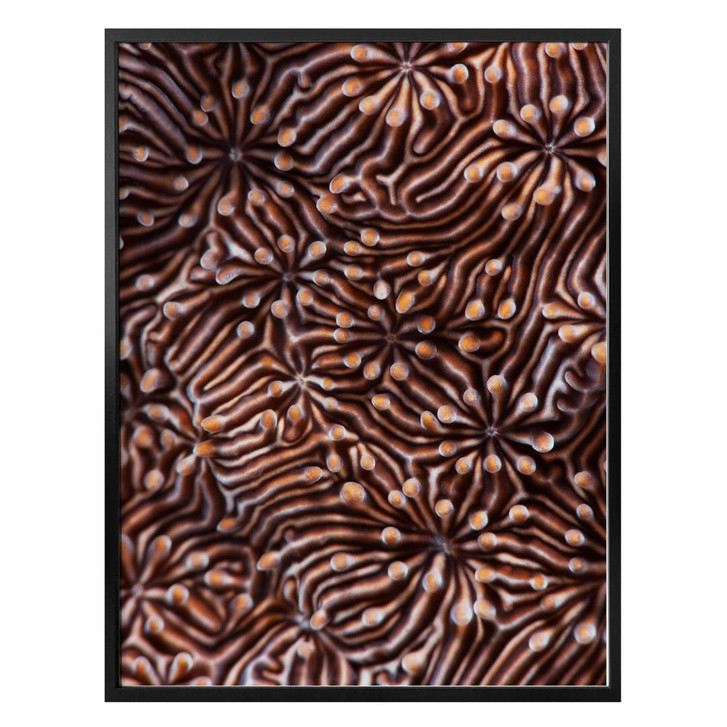 Poster Narchuk - Hypnotic Maze - WA289956