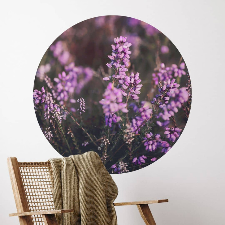 Wandtattoo Lila Heideblüte im warmen Licht | Blumen Wandsticker - Annie - Rund - WA474501