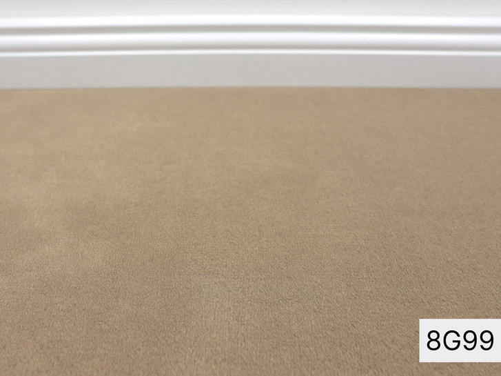 Modena Vorwerk Teppichboden Meterware in 8G99 - TS491846