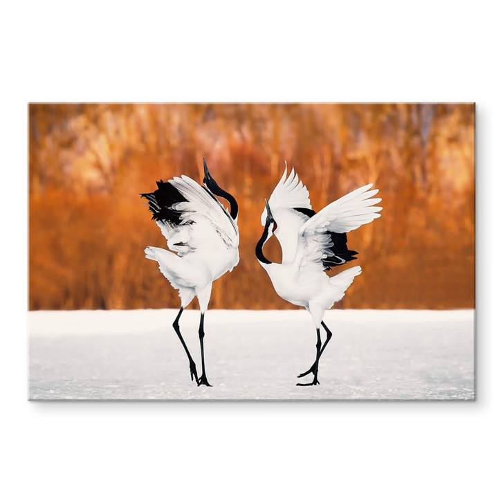 Acrylglasbild Mei - Tanz der Kraniche - WA344503