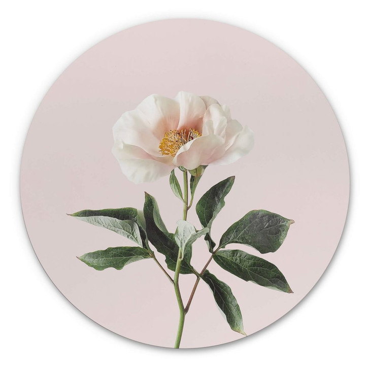 Alu-Dibond Sisi & Seb - Zart - Rund - WA294537