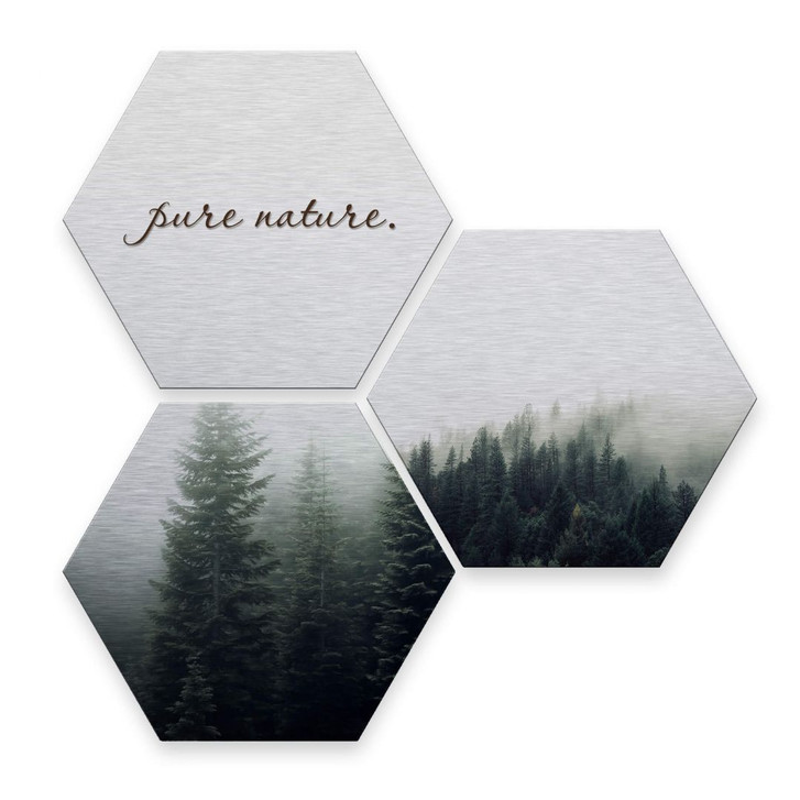 Hexagon - Alu-Dibond-Silbereffekt - Pure Nature Wald (3er Set) - WA233259