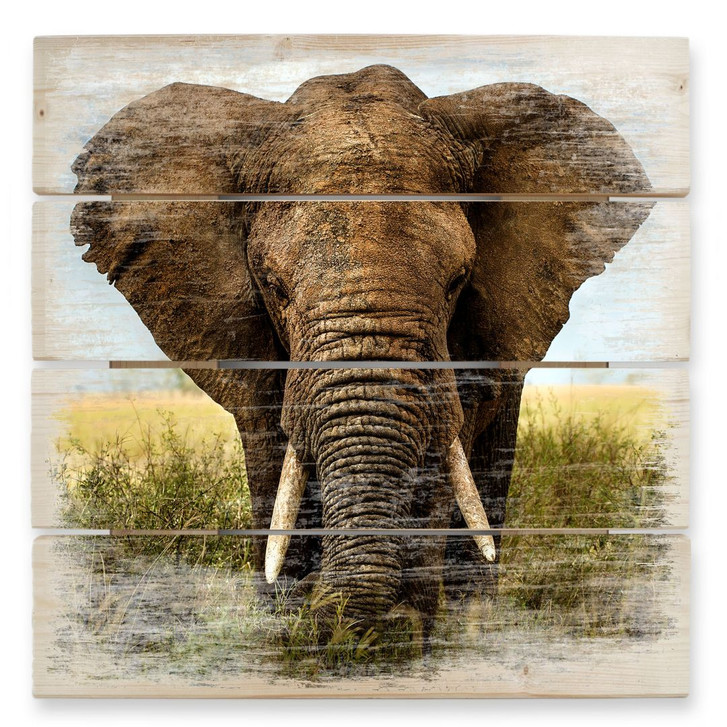 Holzbild Ghizzi-Panizza - Begegnungen in der Savan - 40 x 41.5 cm - WA132053