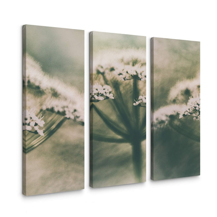 Leinwandbild Davidsson - Weisse Blüte - 3x 30x80cm - WA254050