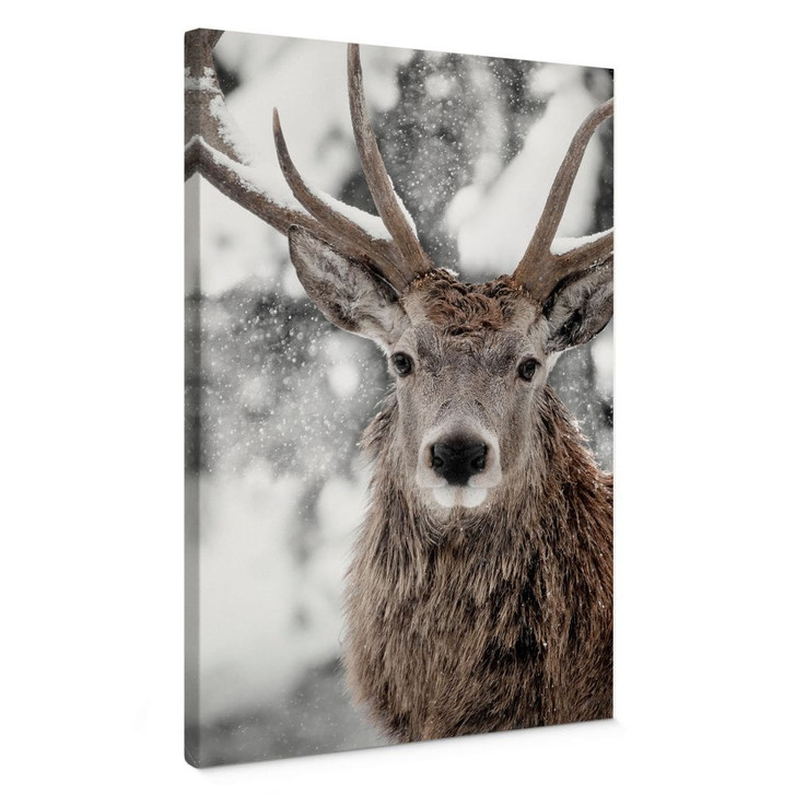 Leinwandbild Hirsch im Schneegestöber | Tiermotiv für das Wohnzimmer - Strigel - WA496352