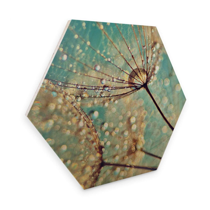 Hexagon - Holz Birke-Furnier Delgado – Magische Pusteblume - WA273789