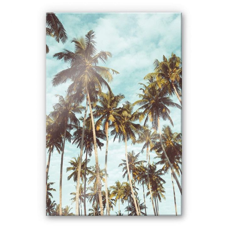 Acrylglasbild Palmen 08 - WA230502