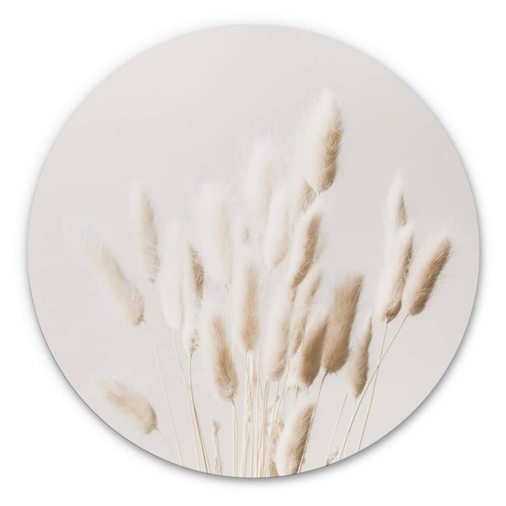 Alu-Dibond 1X Studio - Getrocknete Gräser - Rund - WA319669