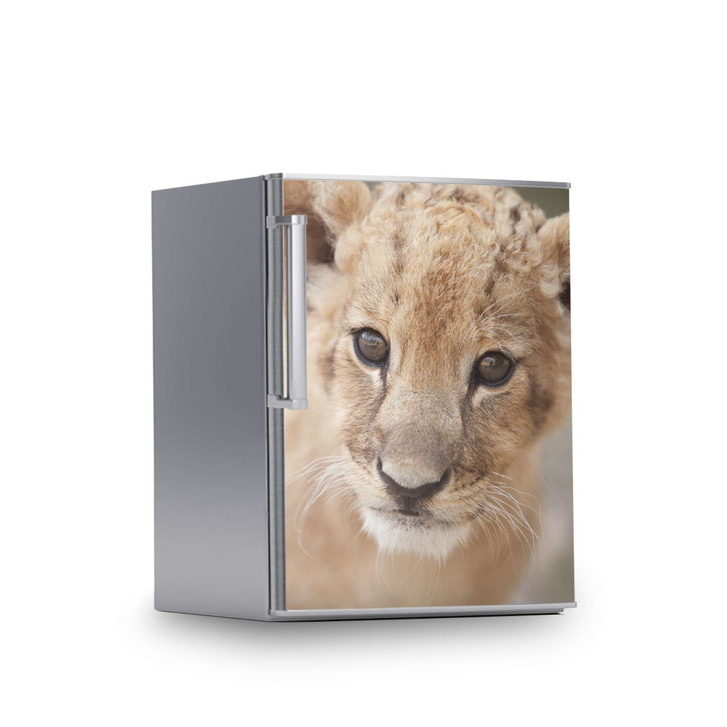 Kühlschrankfolie 60x80cm - Simba - CR113291