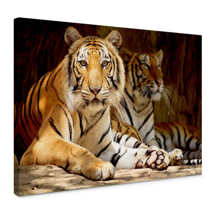Leinwandbild Zwei Königstiger - WA147078
