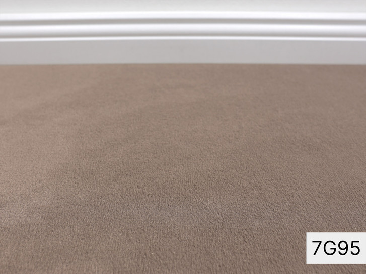 Modena Vorwerk Teppichboden Meterware in 7G95 - TS491877