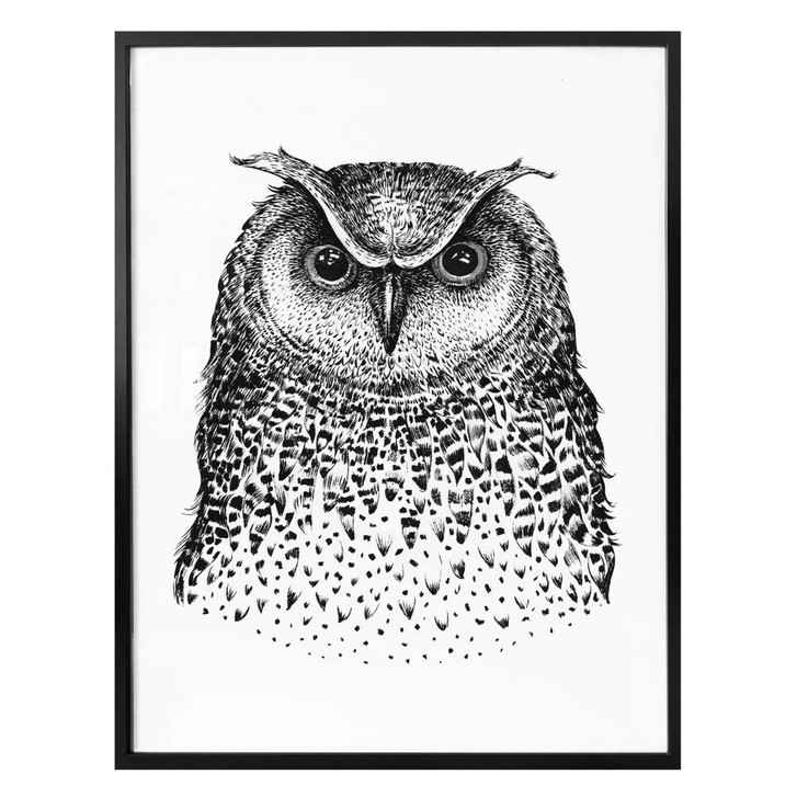 Poster Kvilis - Eule 01 - WA162324