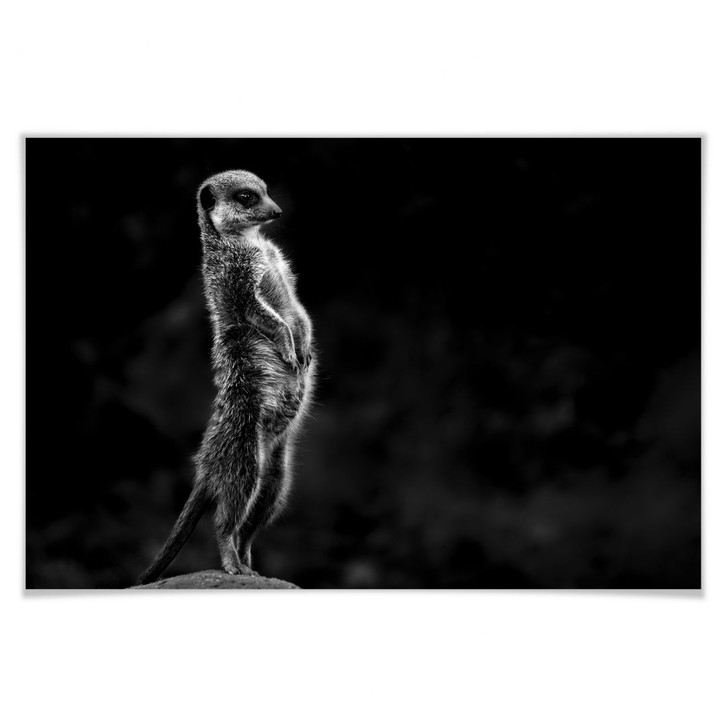 Poster van Son - Wachsamkeit - WA171253