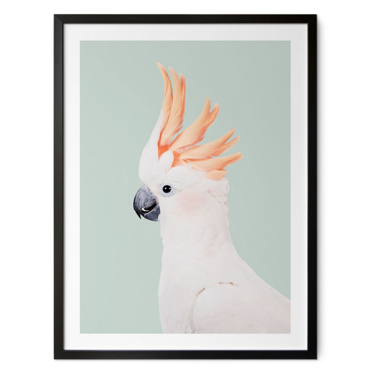 Poster Tierporträt Rosa Kakadu - Sisi & Seb - WA428392