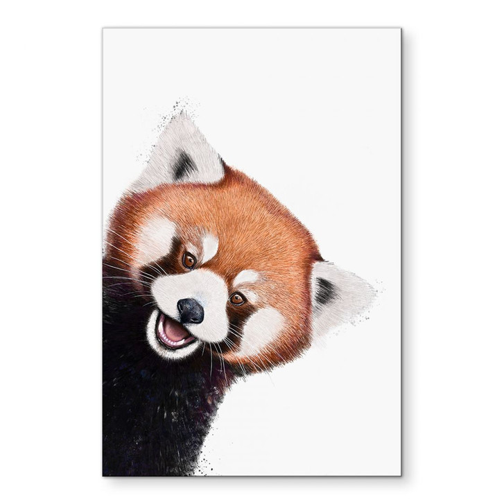 Wandbild Roter Panda - Korenkova - Alu- Dibond - WA434199