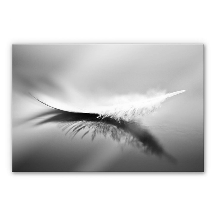 Acrylglasbild Coutinho - Schwerelos - WA230210