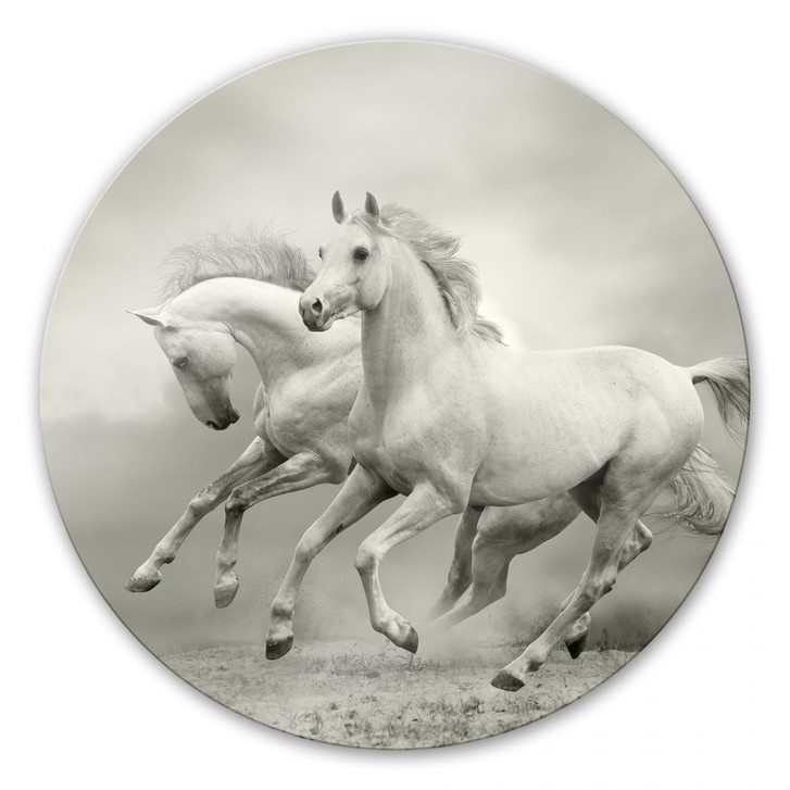 Glasbild Pferde im Galopp - rund - WA126735