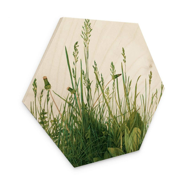 Hexagon - Holz Dürer - Das grosse Rasenstück - WA309524