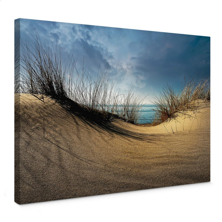 Leinwandbild Schuurmans - Stranddünen - WA374207
