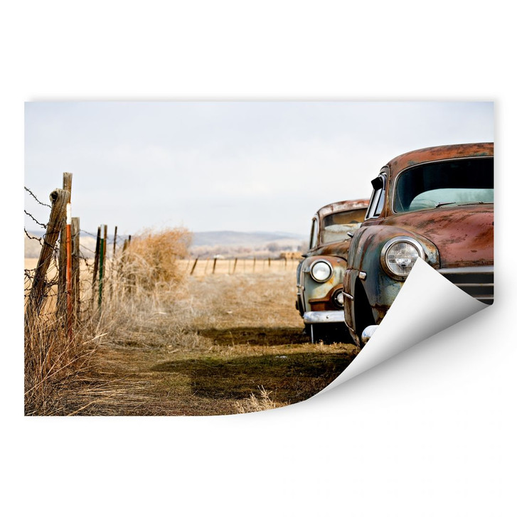 Wallprint Old Rusted Cars - WA187764