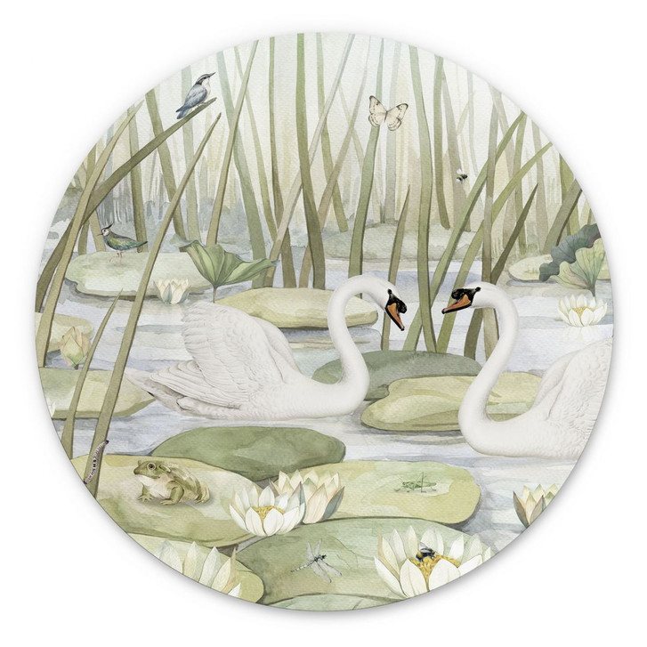 Wandbild Zwei Schwäne im Teich - Kikki Belle - Alu-Dibond - Rund - WA395147