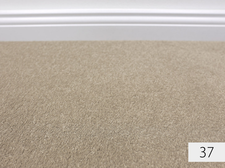 Anemone Velours Teppichboden Meterware in 37 - TS487835
