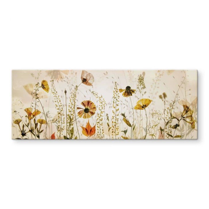 Glasbild Wilde Wiesenblumen im Sonnenlicht - Talen - Panorama - WA432268
