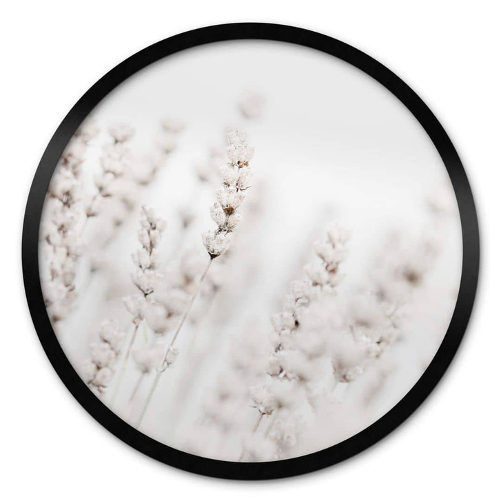 Poster 1X Studio - Feine Gräser - Rund - WA348532