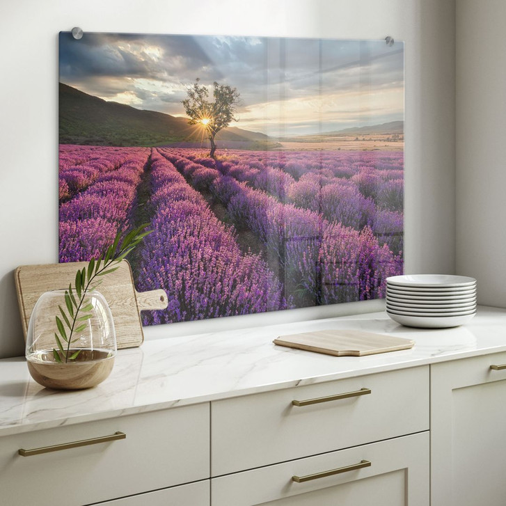 Spritzschutz Lavendelblüte in der Provence - WA178770