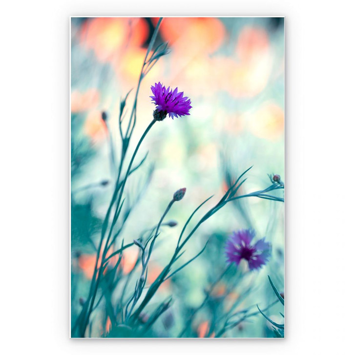 Wandbild Bravin - Luminous purple - WA191605