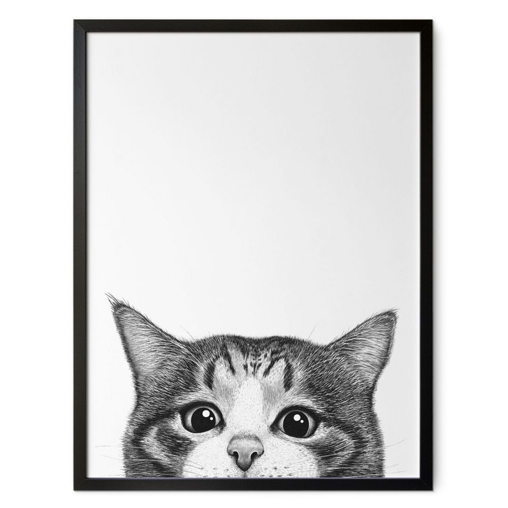 Poster Neugierige Katze - Korenkova - WA434674
