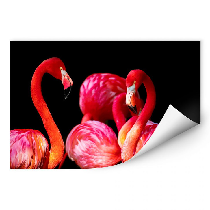 Wallprint Pink Flamingo - WA188262
