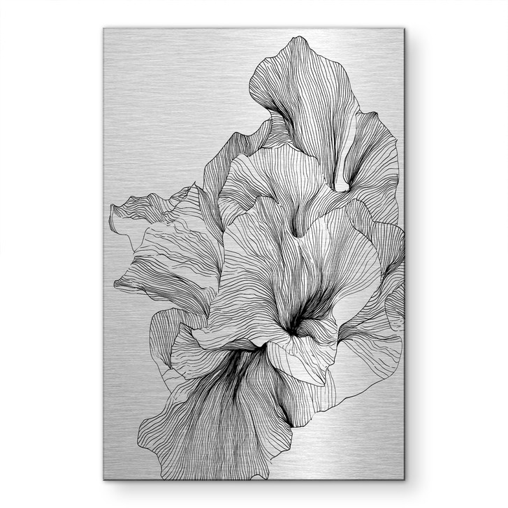Alu-Dibond gebürstet mit Silbereffekt - Florale Linienkunst - Treechild - WA518296