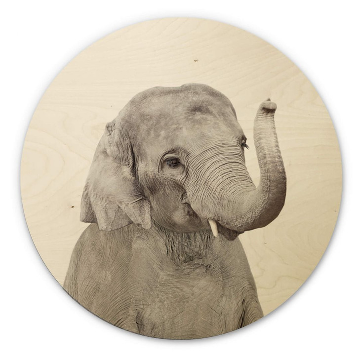 Holzbild Sisi & Seb - Baby Elefant - Rund - WA295648