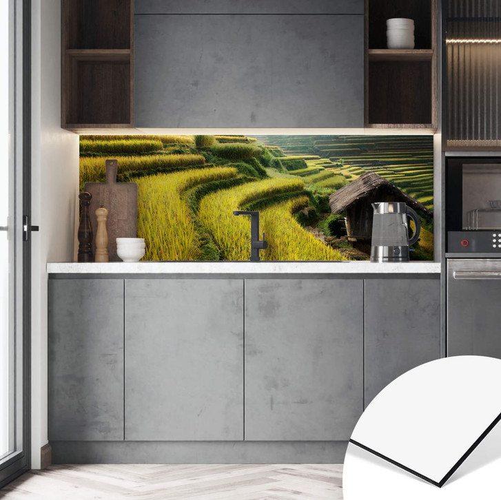 Küchenrückwand Intarob - Reisfelder in Vietnam - WA356377