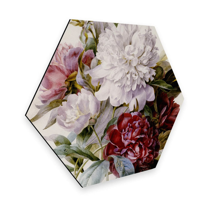 Hexagon - Alu-Dibond Redouté - Strauss von roten, lila und weissen Pfingstrosen - WA306287