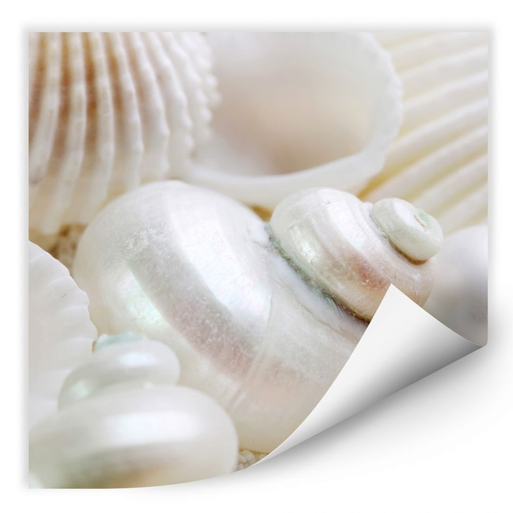 Wallprint Perlmuttglanz - WA188115