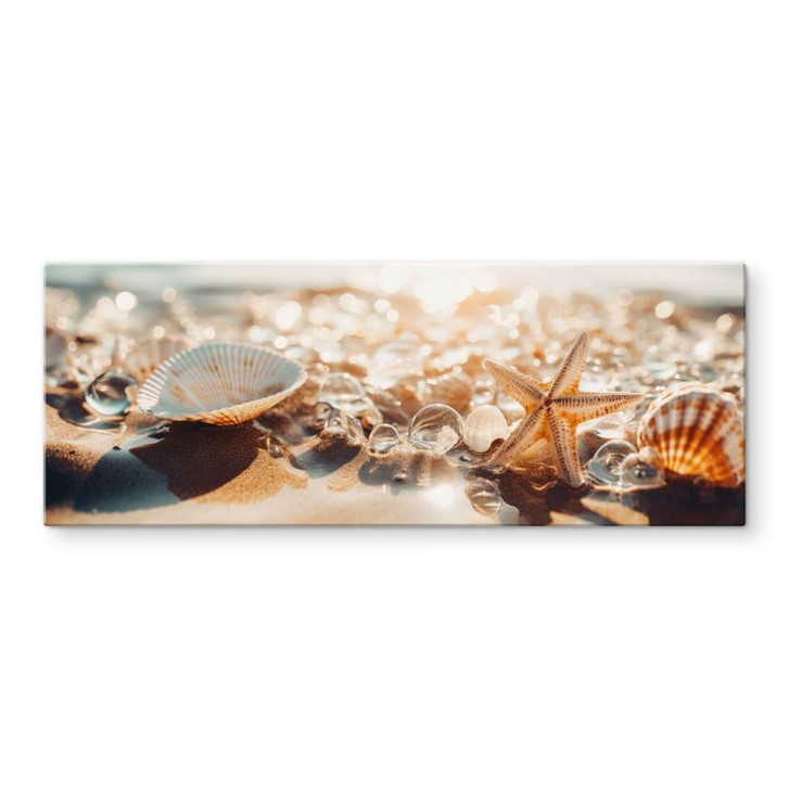 Glasbild Maritim - Muscheln am sonnigen Strand - Treechild - Panorama - WA471731