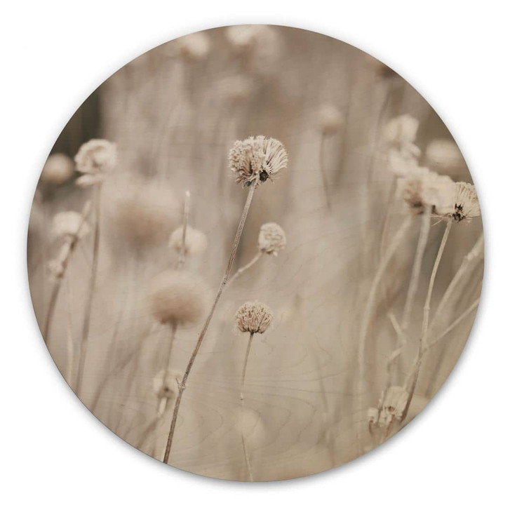Holzbild Getrocknete Blüten in sanften Tönen - Annie - Rund - WA471892