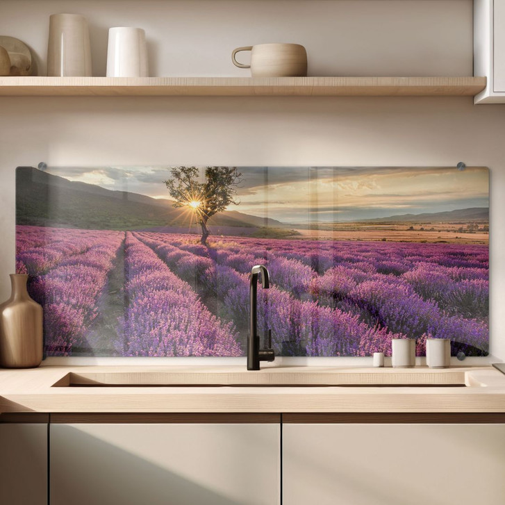 Spritzschutz Lavendelblüte in der Provence - Panorama - WA178774