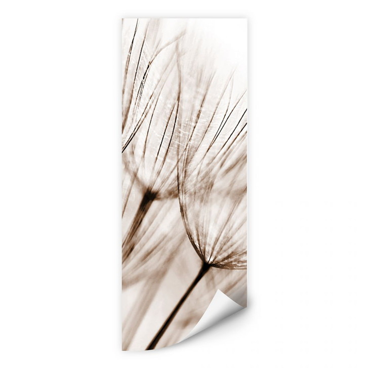 Wallprint Fliegerschirmchen - Panorama - WA183914