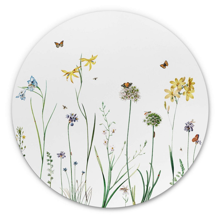 Wandbild Sir Edward - Schmetterlingswiese - Alu-Dibond Rund - WA383210